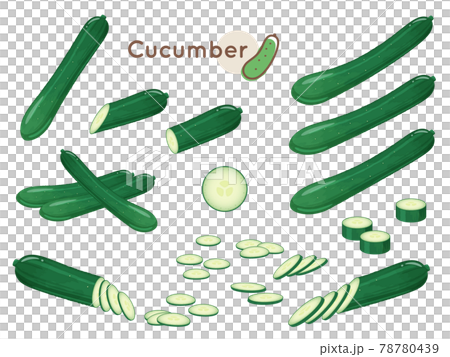 Cucumber illustration material set 78780439