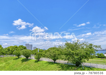 横浜みなとみらいの都市風景 臨港パーク 横浜みなとみらいの都市風景 臨港パーク 78780536