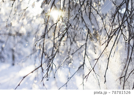 Snow-covered Park on a clear day at sunset. 78781526