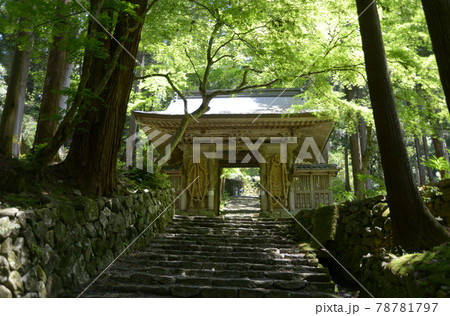百済寺　仁王門　滋賀県東近江市 78781797
