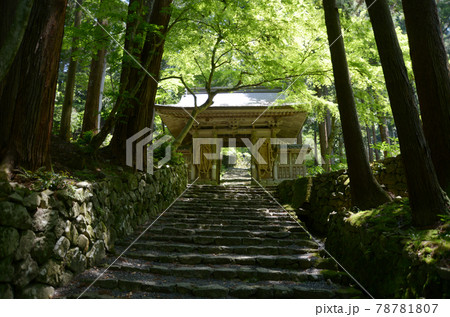 百済寺 仁王門 滋賀県東近江市 百済寺 仁王門 滋賀県東近江市 78781807