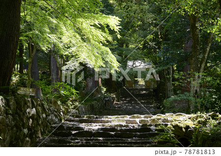 百済寺　仁王門への参道　滋賀県東近江市 78781813