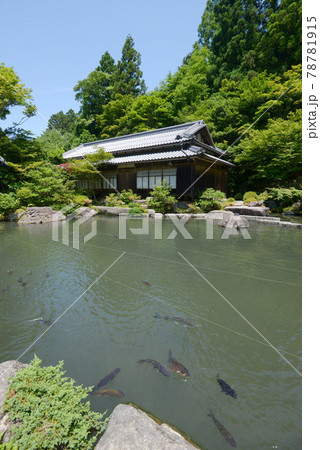百済寺 本坊の庭園 滋賀県東近江市 百済寺 本坊の庭園 滋賀県東近江市 78781915
