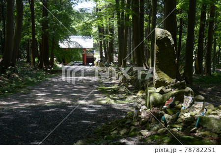 百済寺 参道と赤門 滋賀県東近江市 百済寺 参道と赤門 滋賀県東近江市 78782251