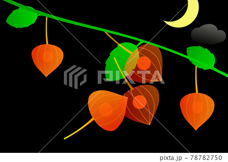 鬼灯 鬼灯 78782750