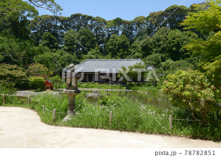 浄瑠璃寺　庭園と本堂　京都府木津川市 78782851