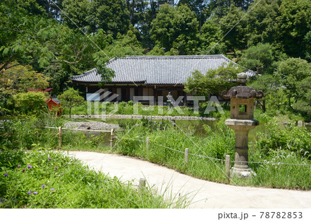 浄瑠璃寺　庭園と本堂　京都府木津川市 78782853