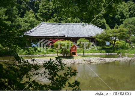 浄瑠璃寺　庭園と本堂　京都府木津川市 78782855