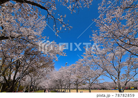 忠元公園 忠元公園 78782859