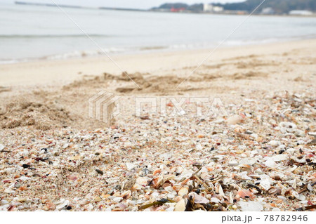 増穂浦海岸(石川県) 増穂浦海岸(石川県) 78782946