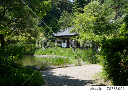 浄瑠璃寺 本堂遠景 京都府木津川市 浄瑠璃寺 本堂遠景 京都府木津川市 78783001