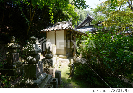 岩船寺 開山堂と本堂 京都府木津川市 岩船寺 開山堂と本堂 京都府木津川市 78783295