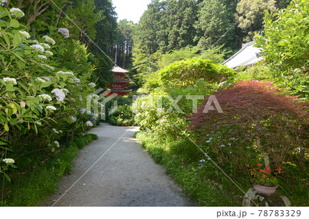 岩船寺 境内 京都府木津川市 岩船寺 境内 京都府木津川市 78783329