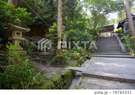 岩船寺 山門への参道 京都府木津川市 岩船寺 山門への参道 京都府木津川市 78783331