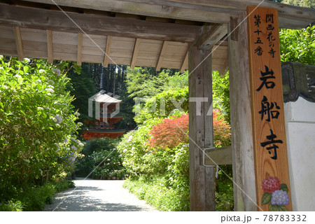 岩船寺 山門から境内を望む 京都府木津川市 岩船寺 山門から境内を望む 京都府木津川市 78783332