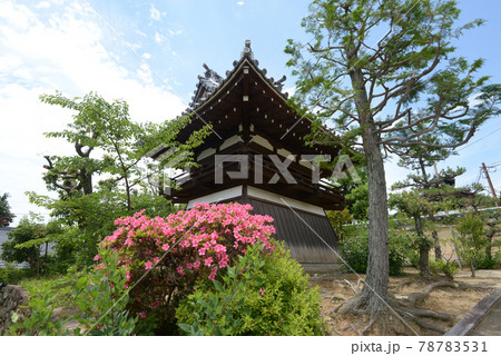 宝塔寺 鐘楼 京都市伏見区 宝塔寺 鐘楼 京都市伏見区 78783531