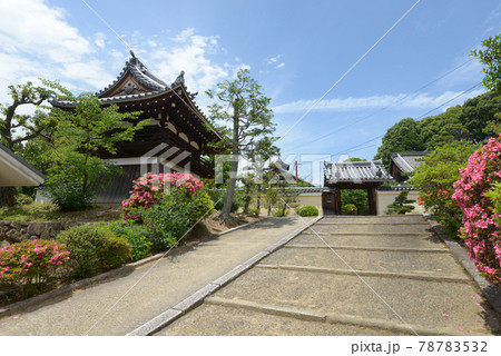 宝塔寺 参道と鐘楼 京都市伏見区 宝塔寺 参道と鐘楼 京都市伏見区 78783532
