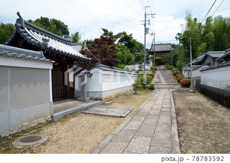宝塔寺 参道と塔頭 京都市伏見区 宝塔寺 参道と塔頭 京都市伏見区 78783592