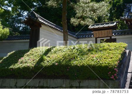 花園天皇陵 参道入口 京都市東山区 花園天皇陵 参道入口 京都市東山区 78783753