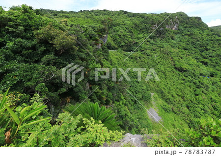 沖縄 国頭村 茅打バンタから見る風景 沖縄 国頭村 茅打バンタから見る風景 78783787