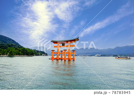 海に浮かぶ大鳥居 78783945