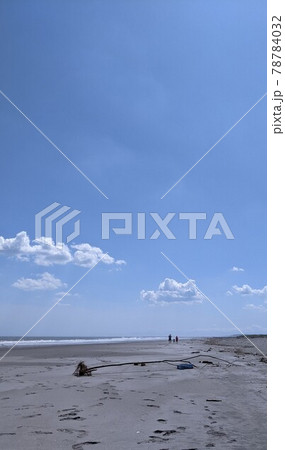 北海道初夏の海流木　 78784032