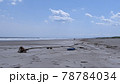北海道初夏の海流木 78784034