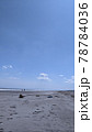 北海道初夏の海流木 78784036