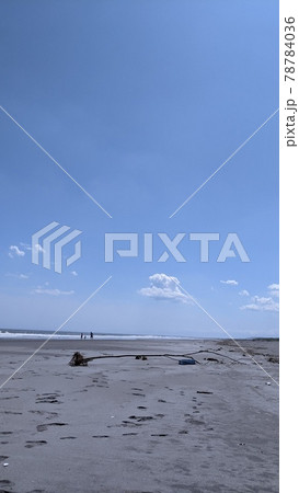 北海道初夏の海流木 78784036