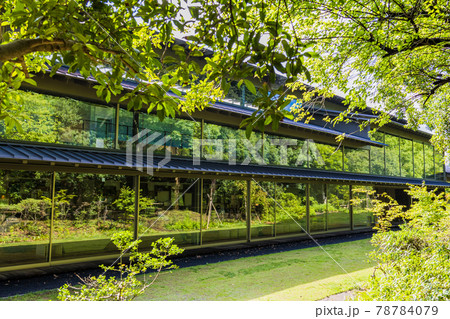 新緑の森を映す窓 新緑の森を映す窓 78784079