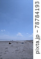 北海道初夏の海 78784193
