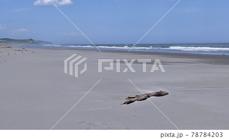北海道初夏の海 78784203