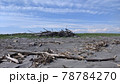 北海道流木の山 78784270