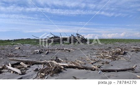 北海道流木の山 78784270