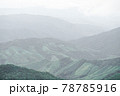 Panoramic landscape picture of fresh green rain forest and mountain background. 78785916