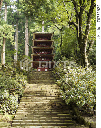 奈良室生寺の五重塔 奈良室生寺の五重塔 78785926