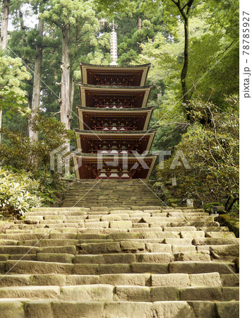 奈良室生寺の五重塔 奈良室生寺の五重塔 78785927