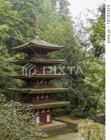 奈良室生寺の五重塔 奈良室生寺の五重塔 78785928