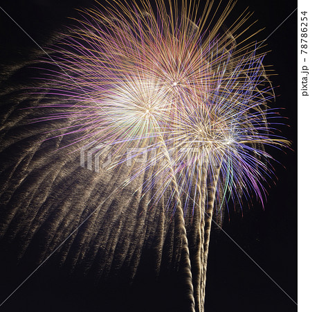 夜空を彩る大輪の花火 夜空を彩る大輪の花火 78786254