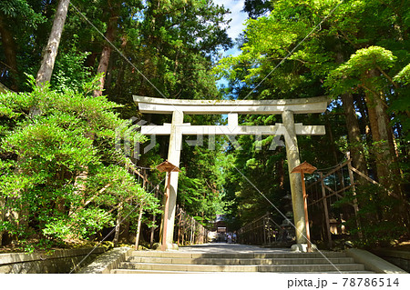 新潟 青空の弥彦神社 ニの鳥居 新潟 青空の弥彦神社 ニの鳥居 78786514