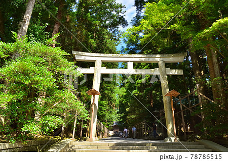 新潟　青空の弥彦神社　ニの鳥居 78786515