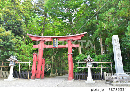 新潟　青空の弥彦神社　一の鳥居 78786534