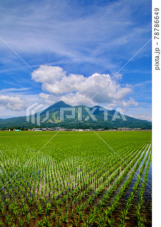 水田と磐梯山(福島県・猪苗代町) 水田と磐梯山(福島県・猪苗代町) 78786649