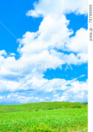 爽やかな高原風景（夏） 78786666