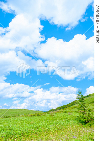爽やかな高原風景（夏） 78786667