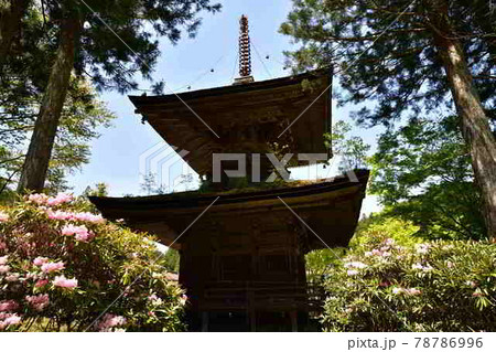 高野山より 78786996