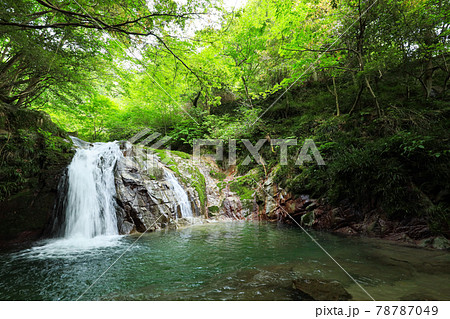 【茨城県高萩市】花貫渓谷　乙女滝 78787049