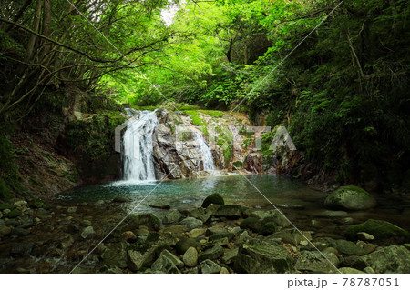 【茨城県高萩市】花貫渓谷　乙女滝 78787051