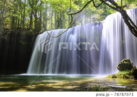 美しい水のカーテンに癒やされる鍋ヶ滝 （熊本県小国町） 78787073