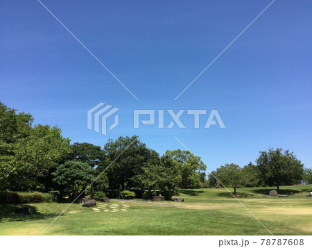 晴れている公園の風景 78787608